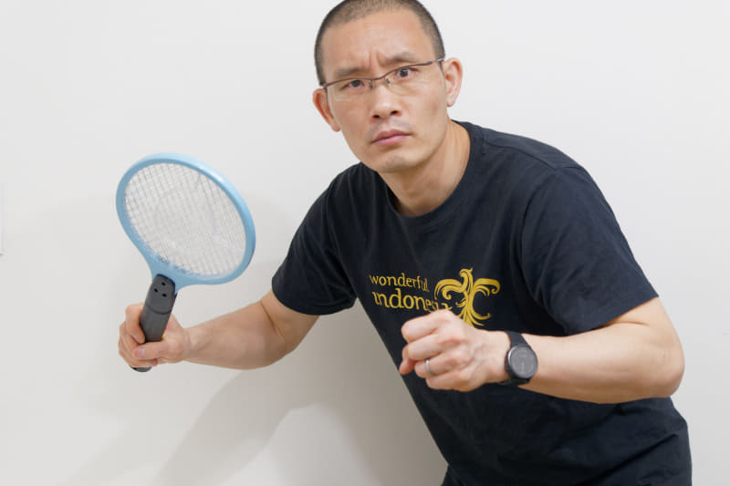 憧れの「電撃殺虫ラケット」がこの手に