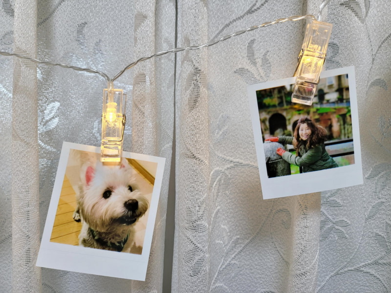 電球色LEDの付きのクリップが10個で330円と超お得なLED CLIP STRING LIGHTS
