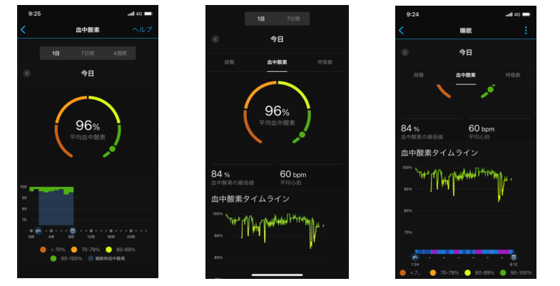 Garmin Connect Mobileの表示例