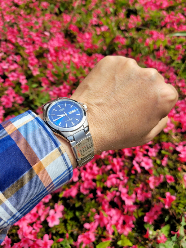 戸外の光でみると明るいブルー系の文字盤だ