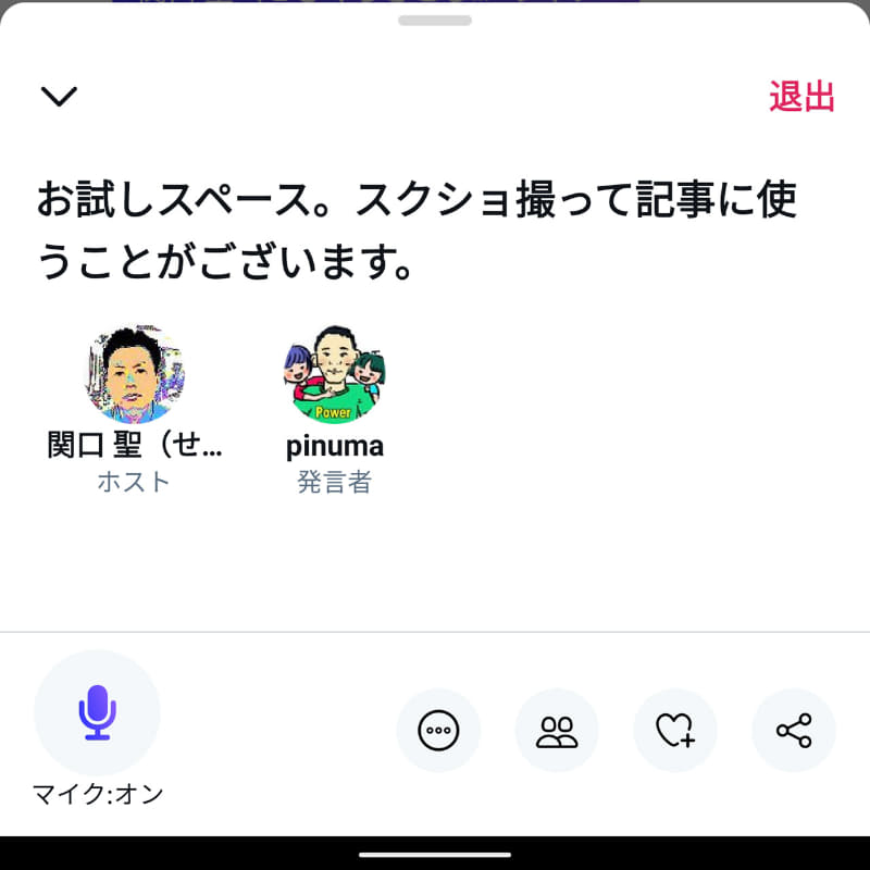 音声チャット中の画面