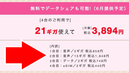 15GBにすると、プラン間でシェアできるデータ容量の合計は21GB。トータルの月額利用料金は3894円