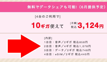 4GBだと合計データ容量10GBで月額3124円