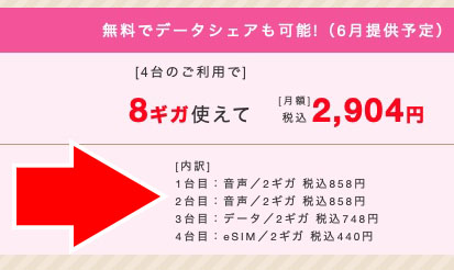 2GBだと合計データ容量8GBで月額2904円