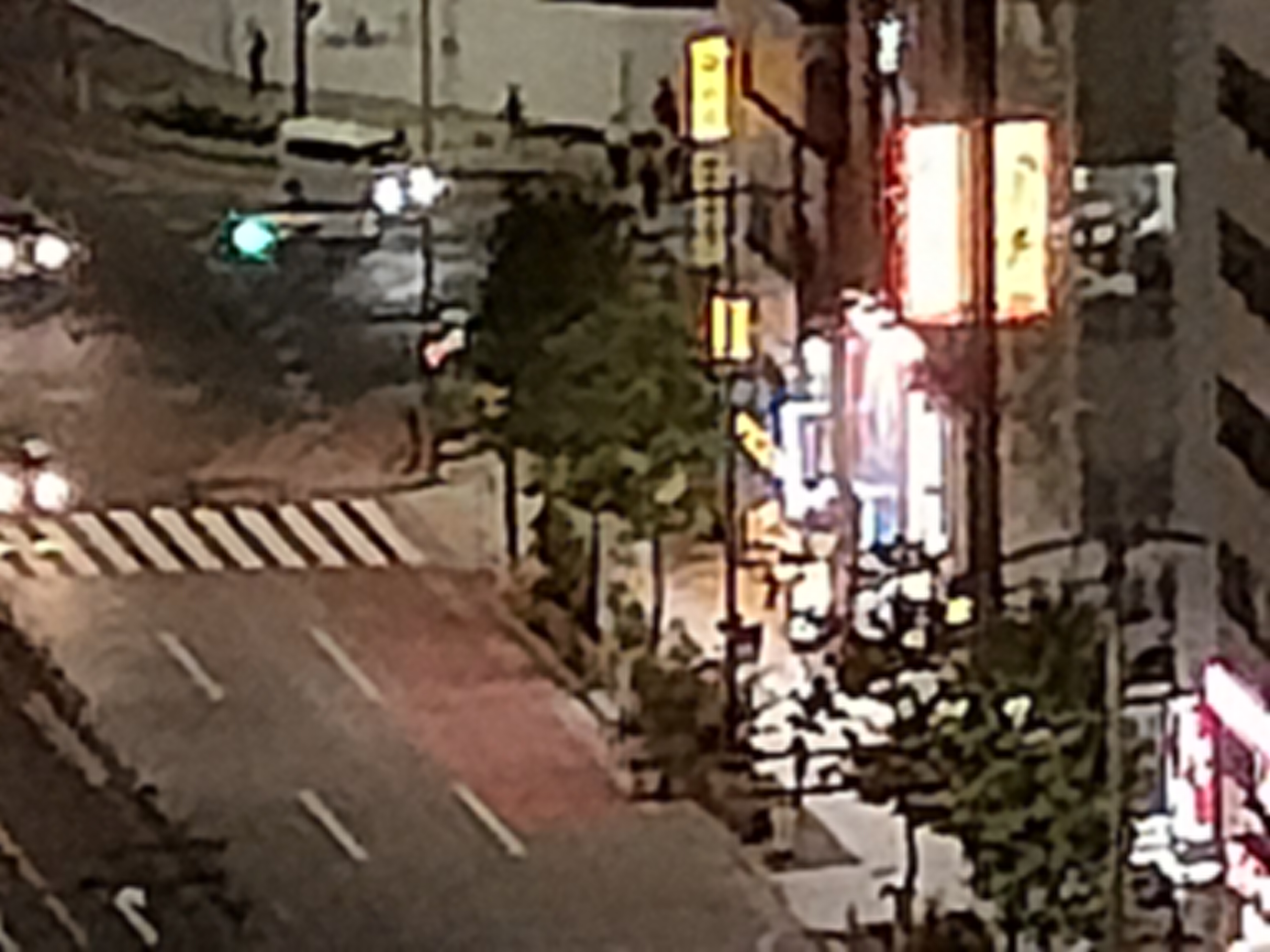 最大倍率で撮影