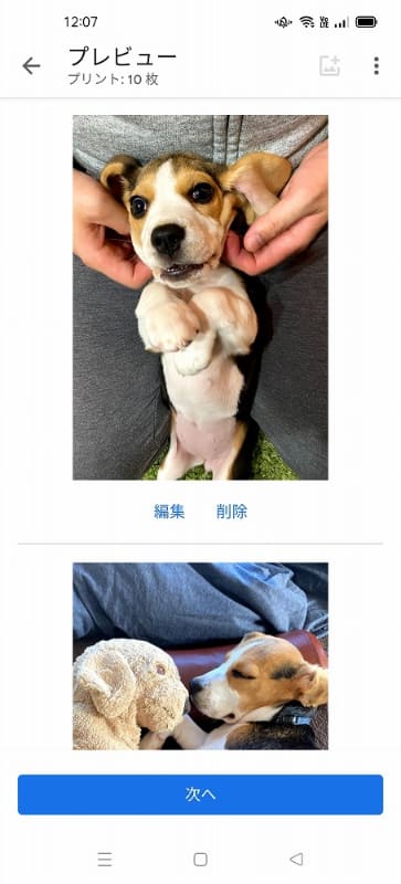 プレビューを見てから、編集したり、削除したりできる