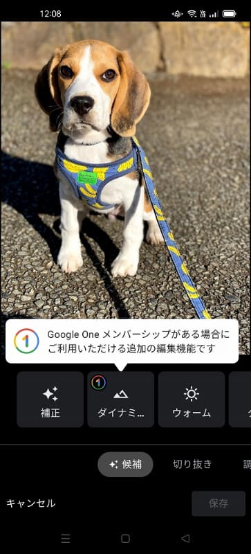 一部の編集機能はGoogle Oneサービスに加入している人だけが利用できる