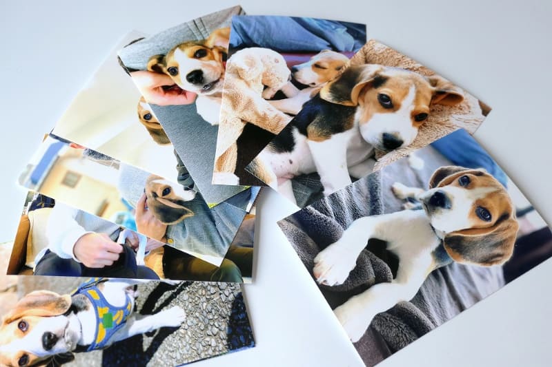 プリント画質はまずまずという印象。筆者はGoogle フォトに「高画質」で保存しているが、「元の画質」で保存していれば、もう少し画質が良いかもしれないし、同じかもしれない