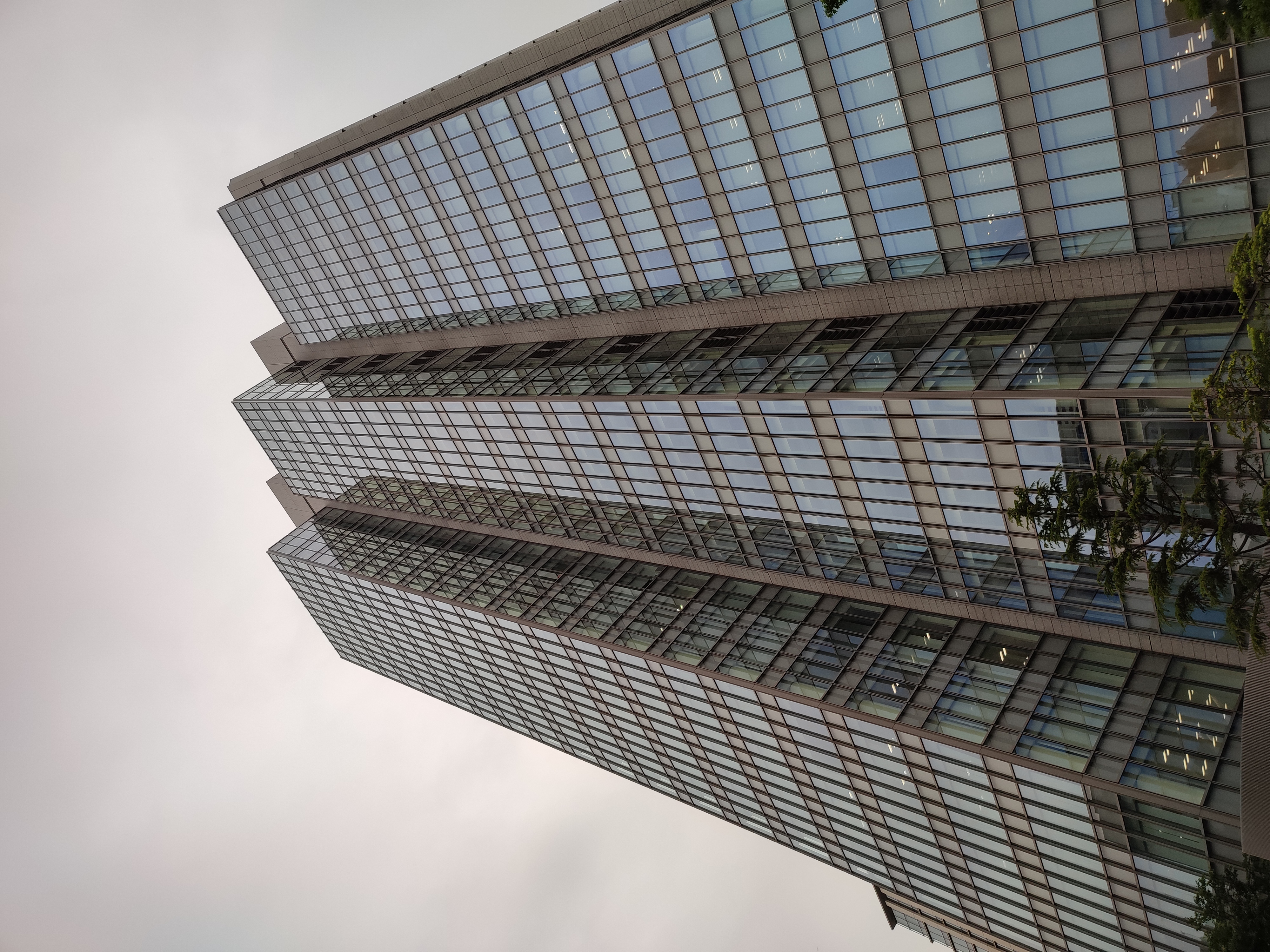 メインカメラで撮影