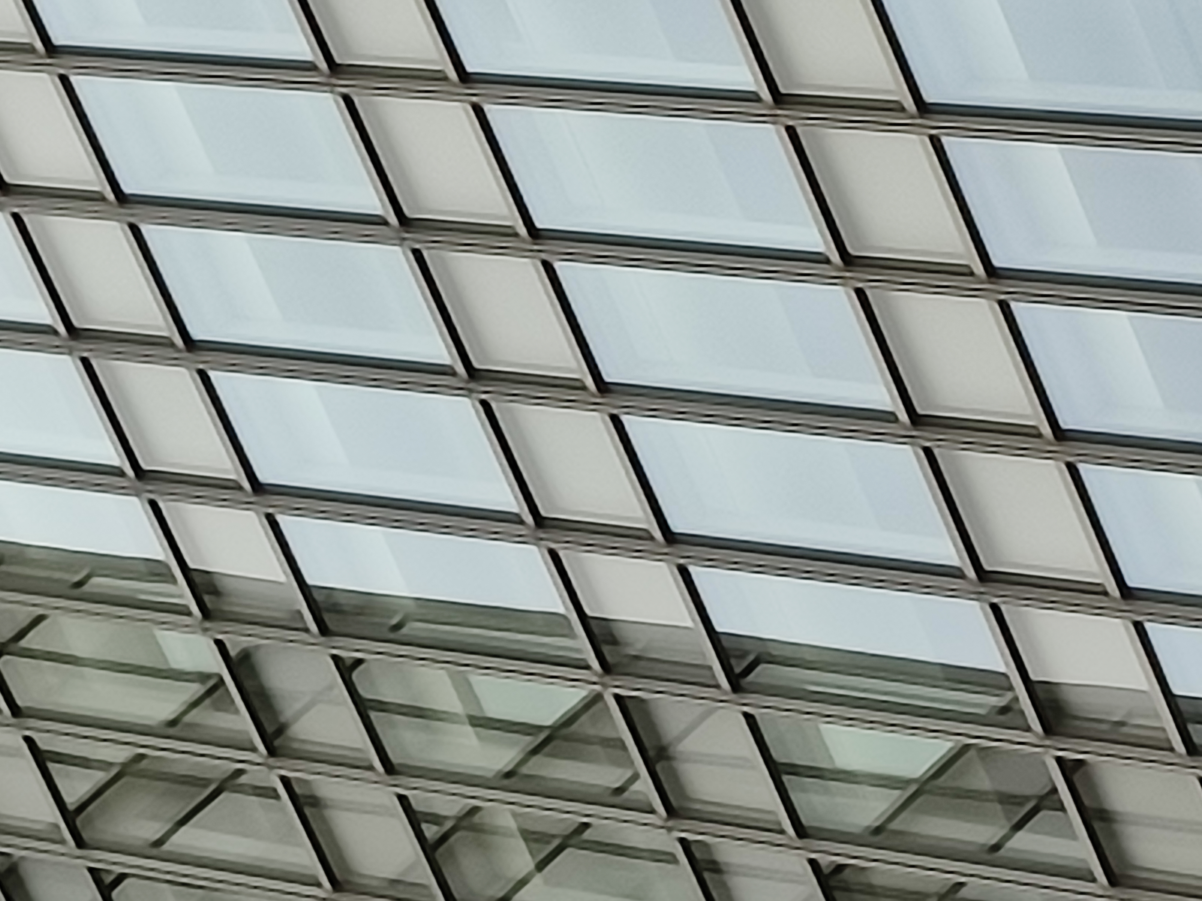 最大倍率で撮影