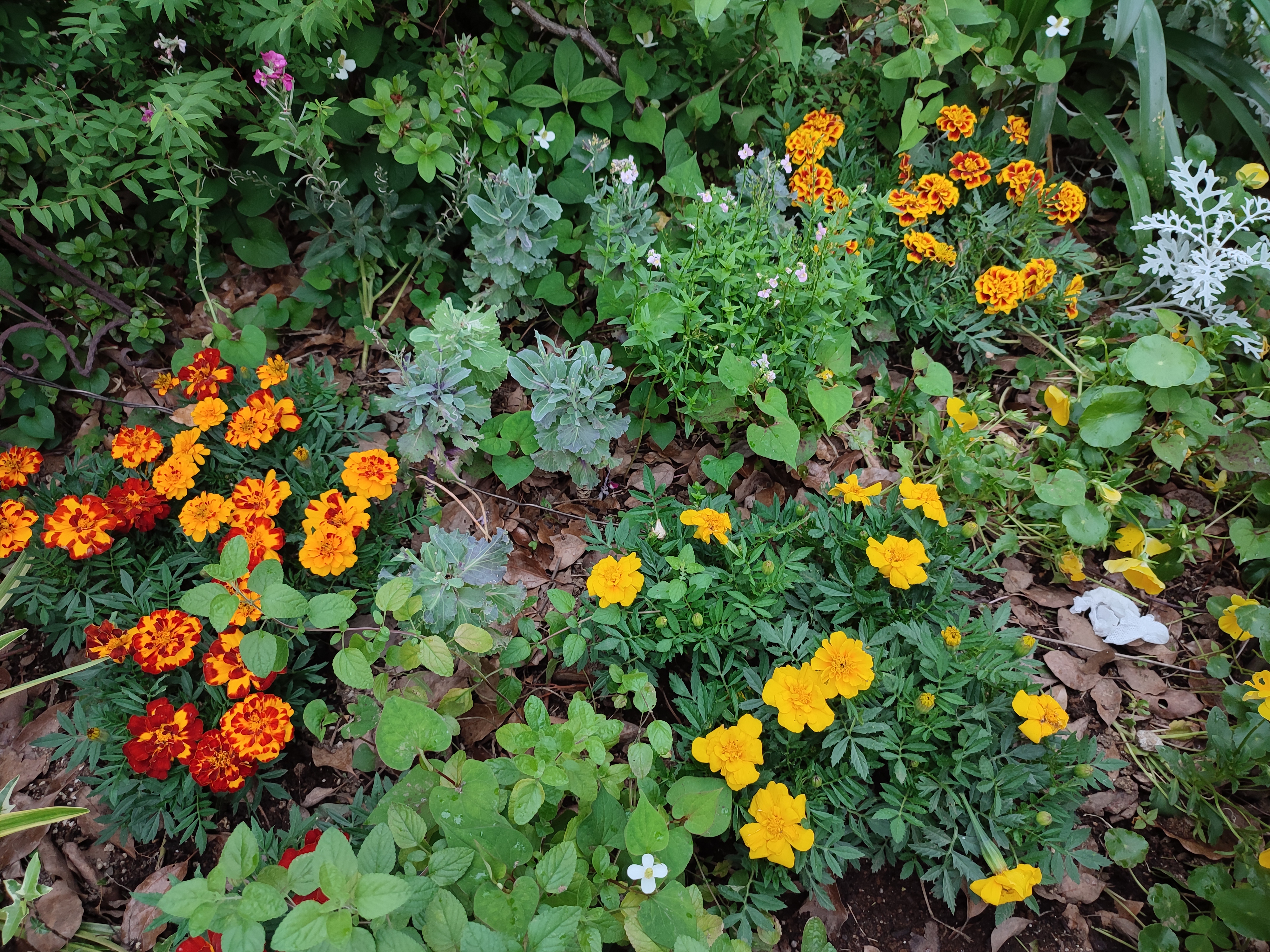 108MPモードで撮影