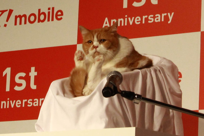 2015年8月、写真集を出版した際の「ふてニャン」春馬くん
