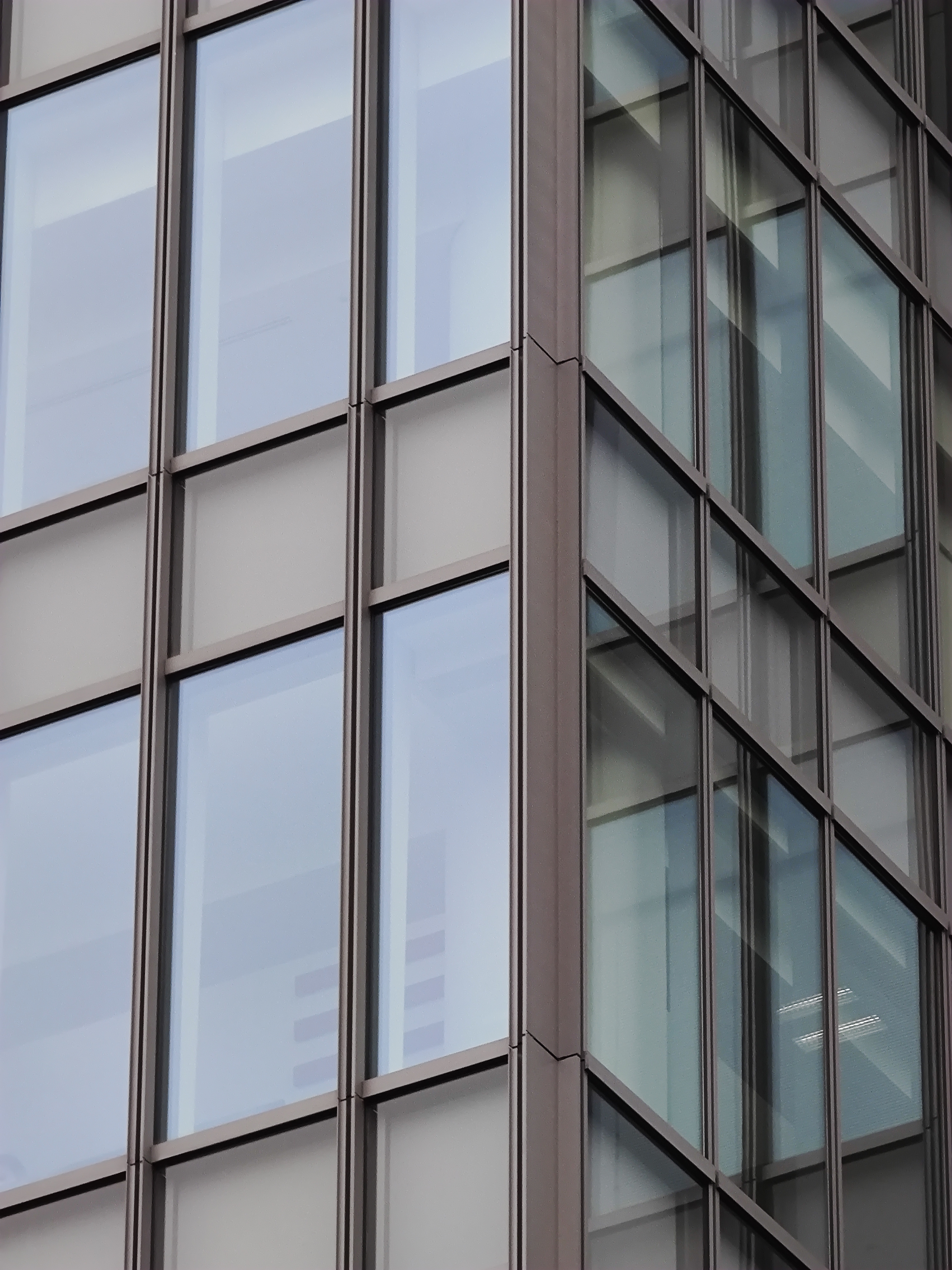 広角カメラで撮影