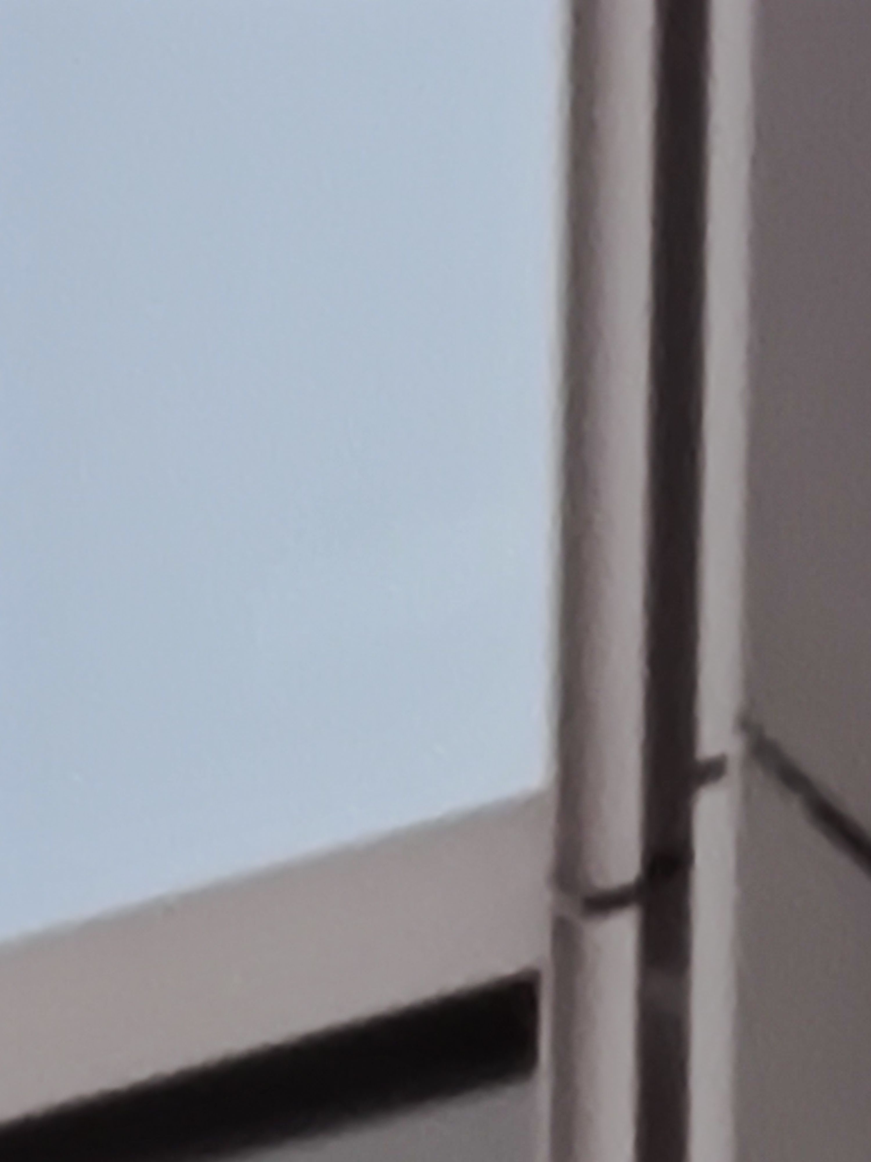 最高倍率で撮影