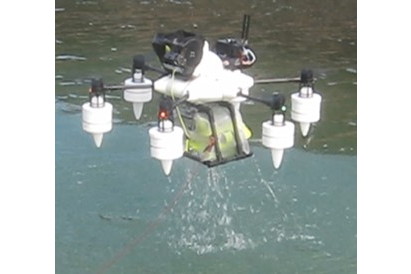 水面から離水し飛行