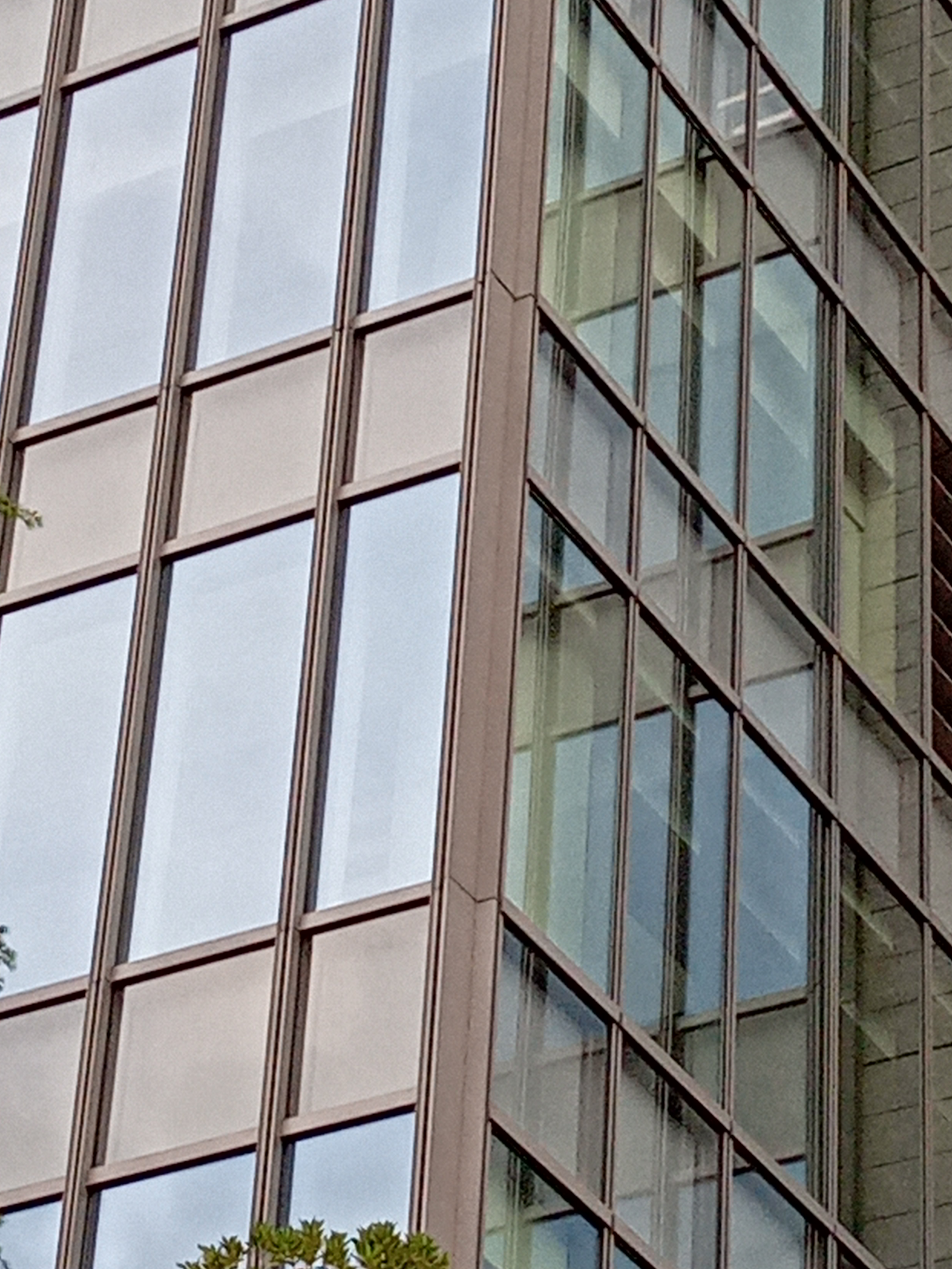 最高倍率（5倍）で撮影