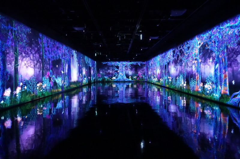 入り口付近から見た会場