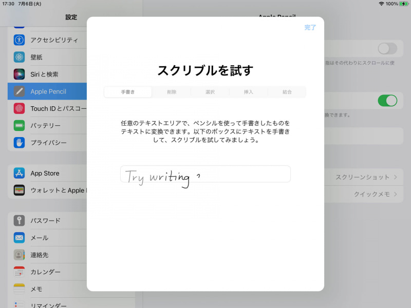 設定画面からスクリブルを試すことができる。ジェスチャはここで勉強できる