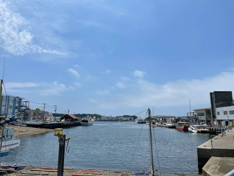 三崎港。マグロを食べられるレストランがたくさんある（まんぷく券非対応の店も少なくないので注意）。向こう側に見えるのは城ヶ島だが、徒歩では大変なのでバスを使おう