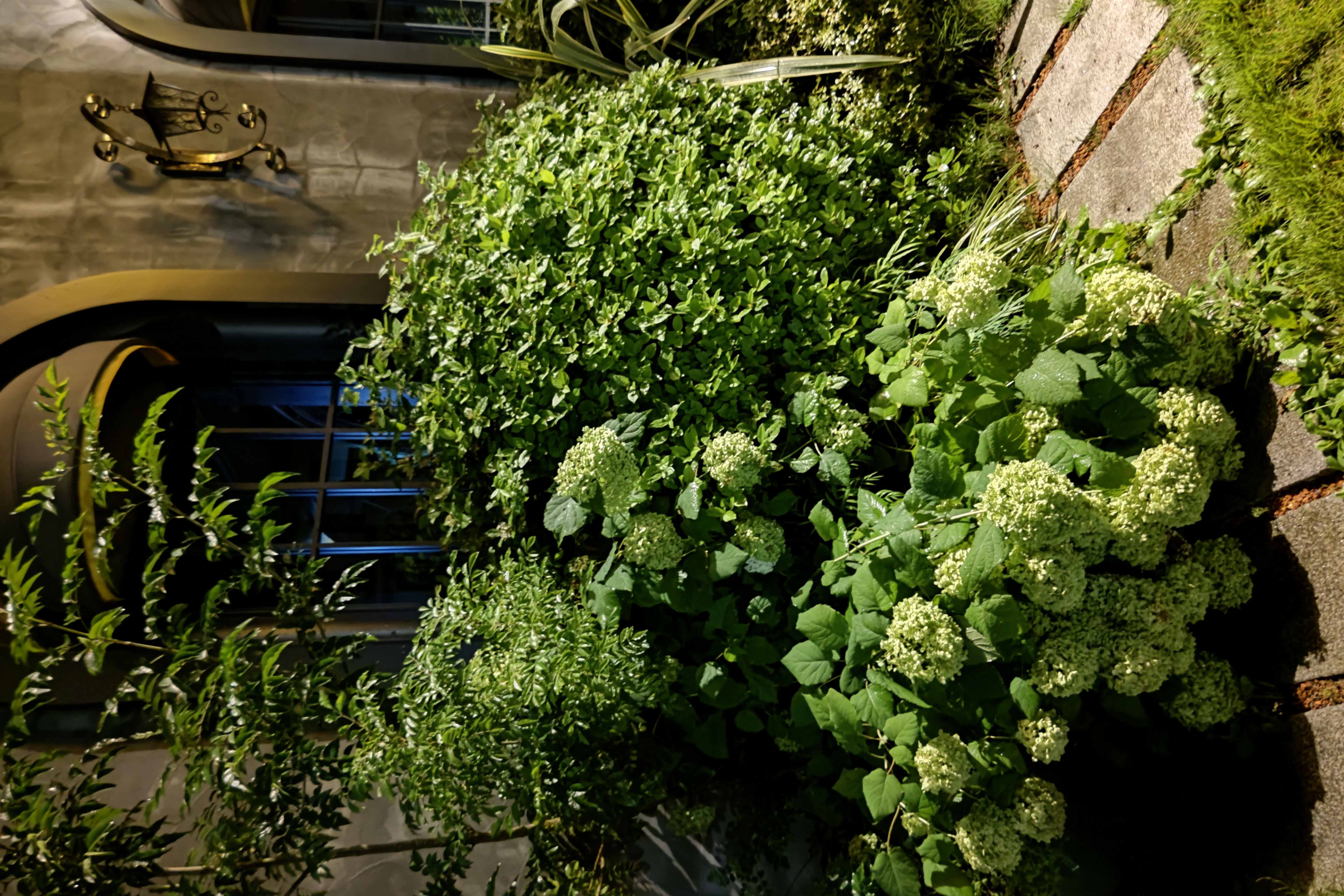 AQUOS R6、ISO：1125