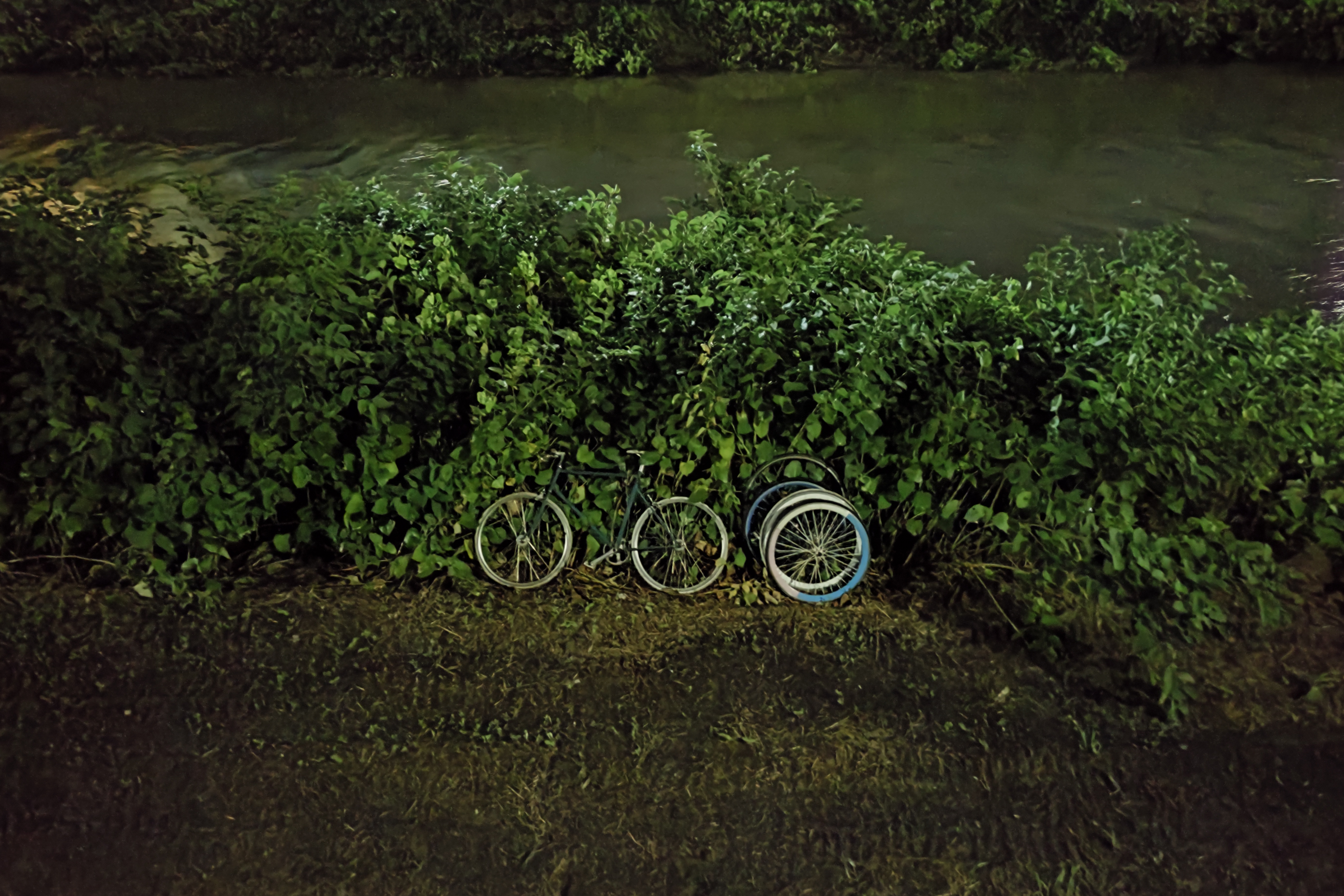 ほぼ真っ暗な河川敷をナイトモードで。投棄されていた自転車がクッキリと浮かび上がった。ISO：1125