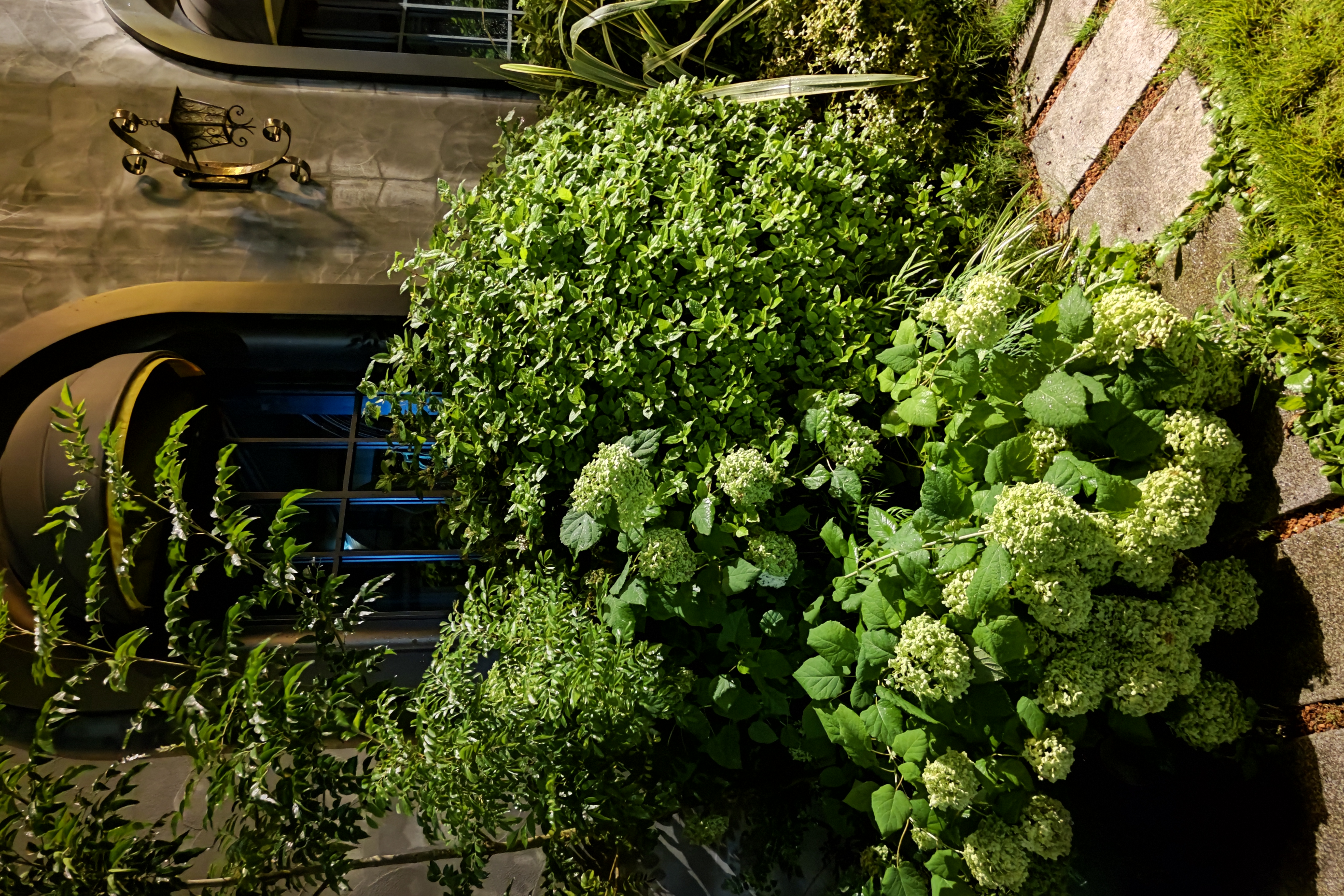 Leitz Phone 1、ISO：1125