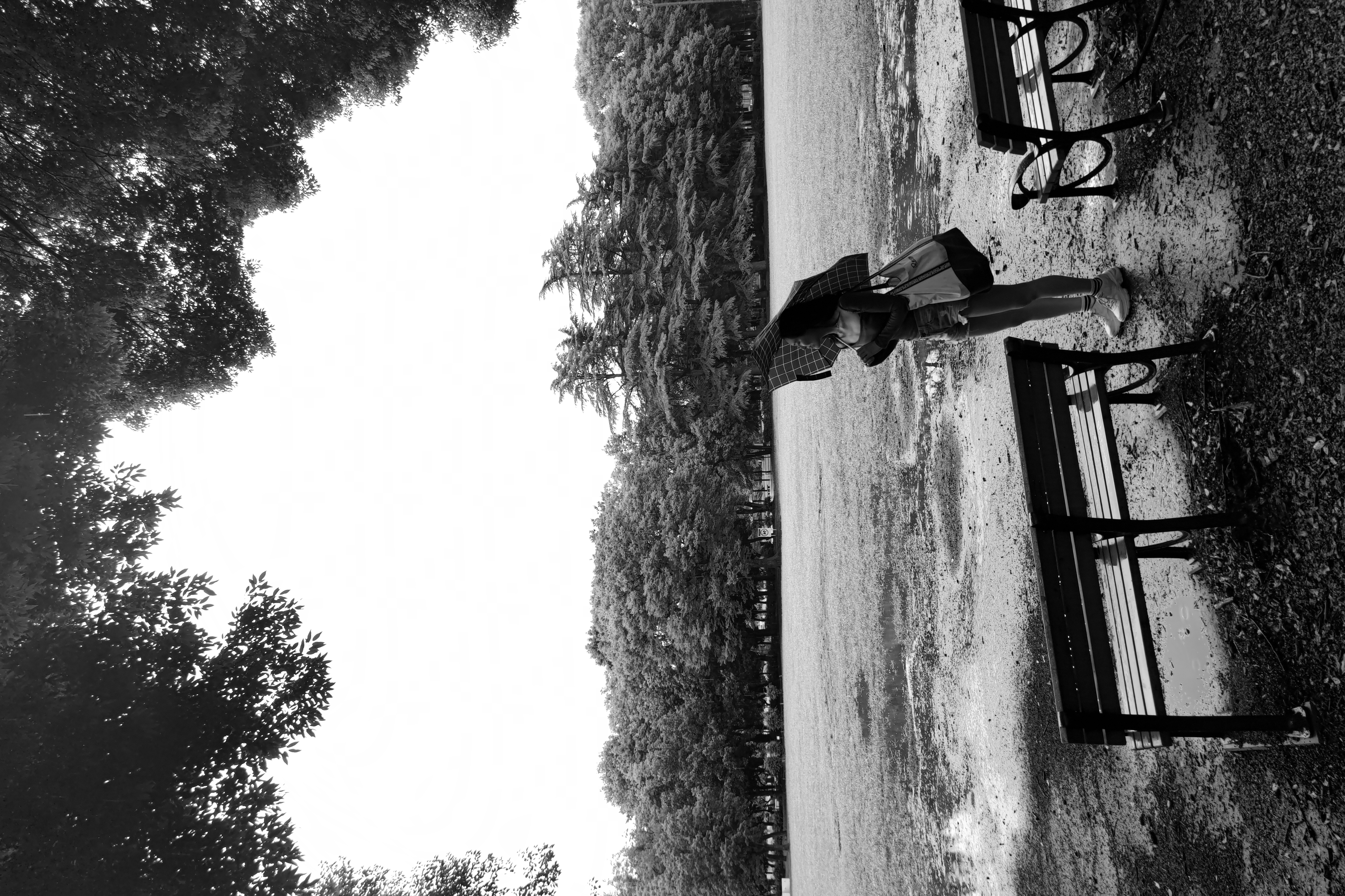 露出時間：1/101秒、ISO：50、露出補正：0ステップ