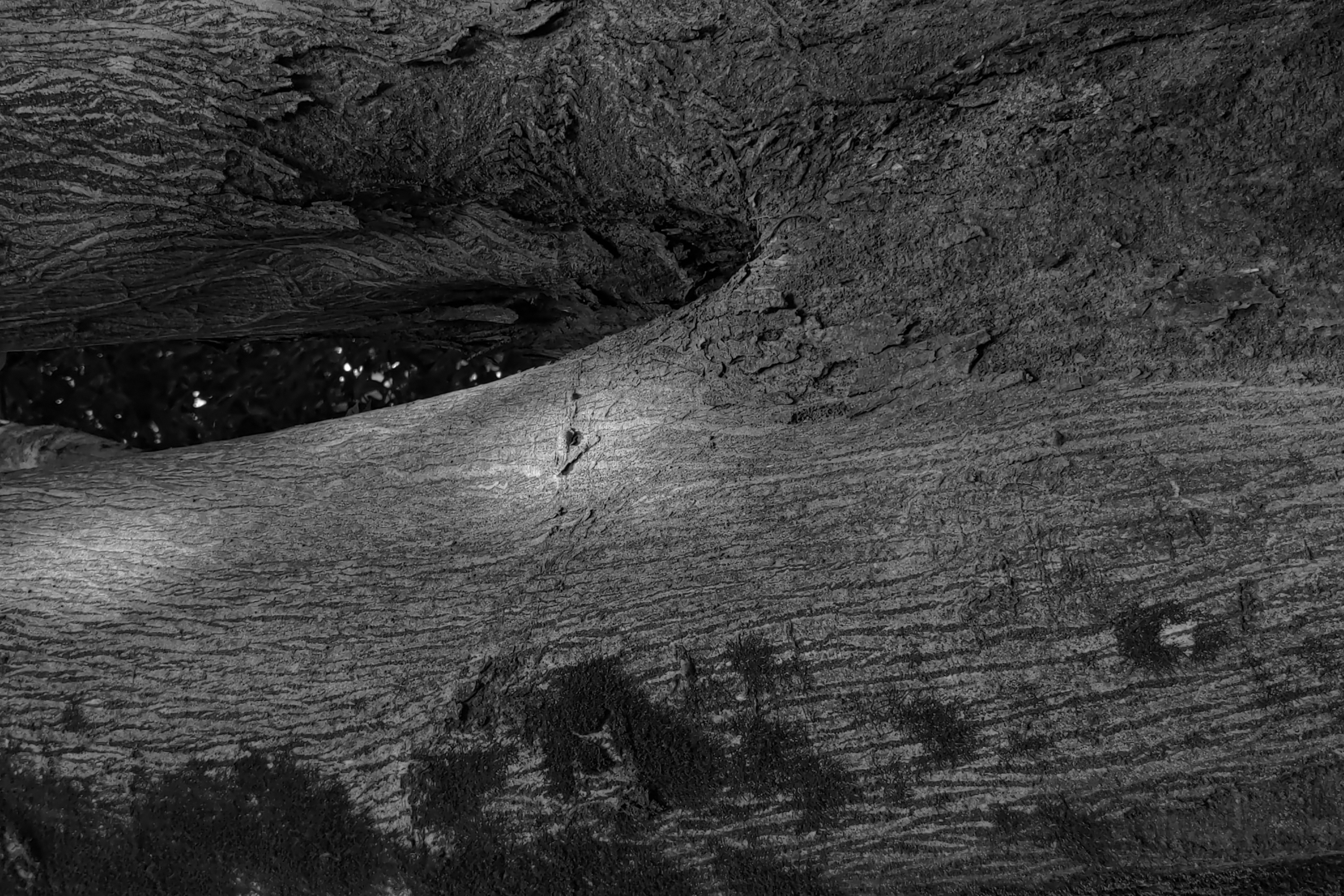 露出時間：1/387秒、ISO：50、露出補正：-1ステップ、デジタルズーム：2.6倍