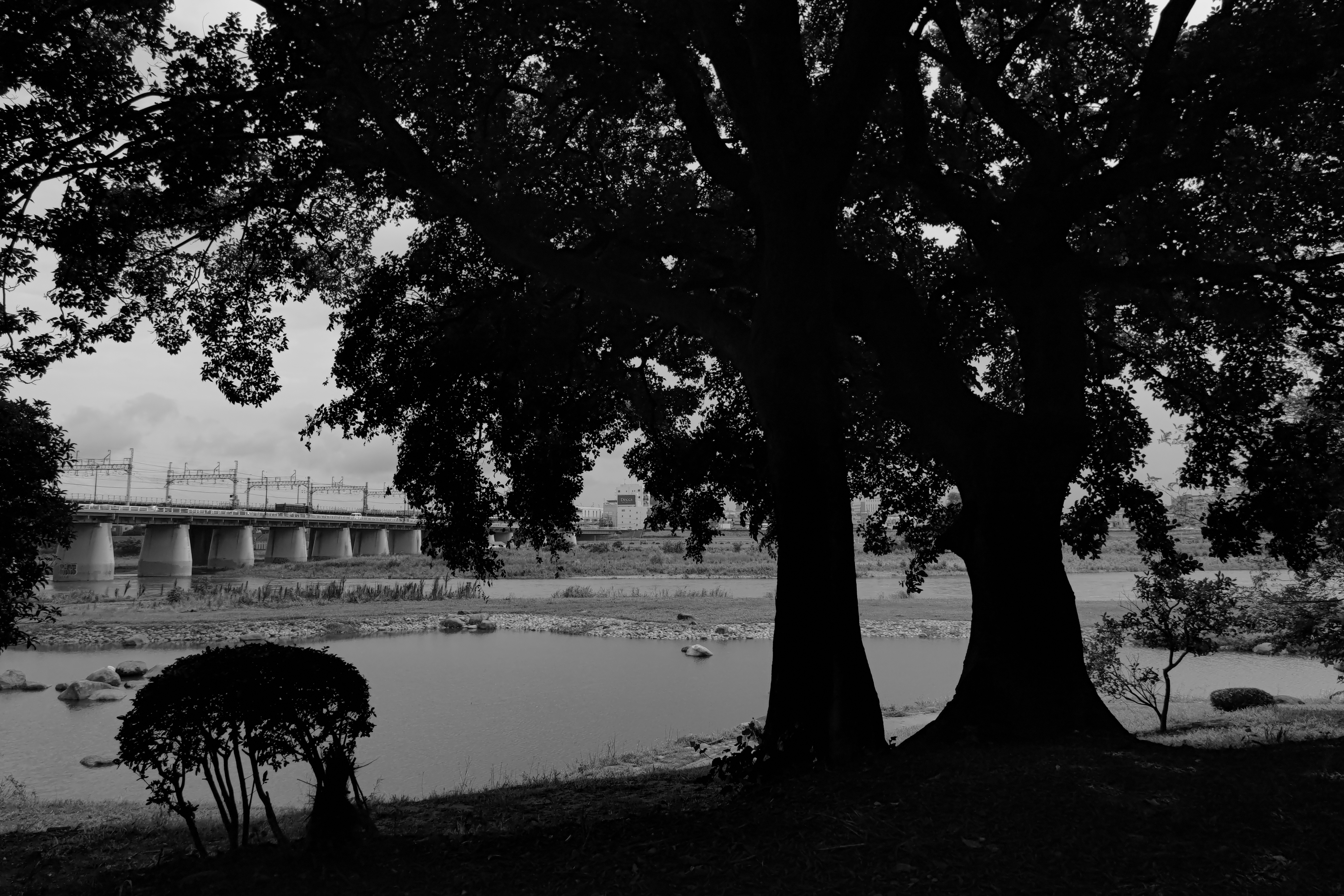 露出時間：1/4435秒、ISO：50、露出補正：-1.3ステップ、デジタルズーム：1.2倍