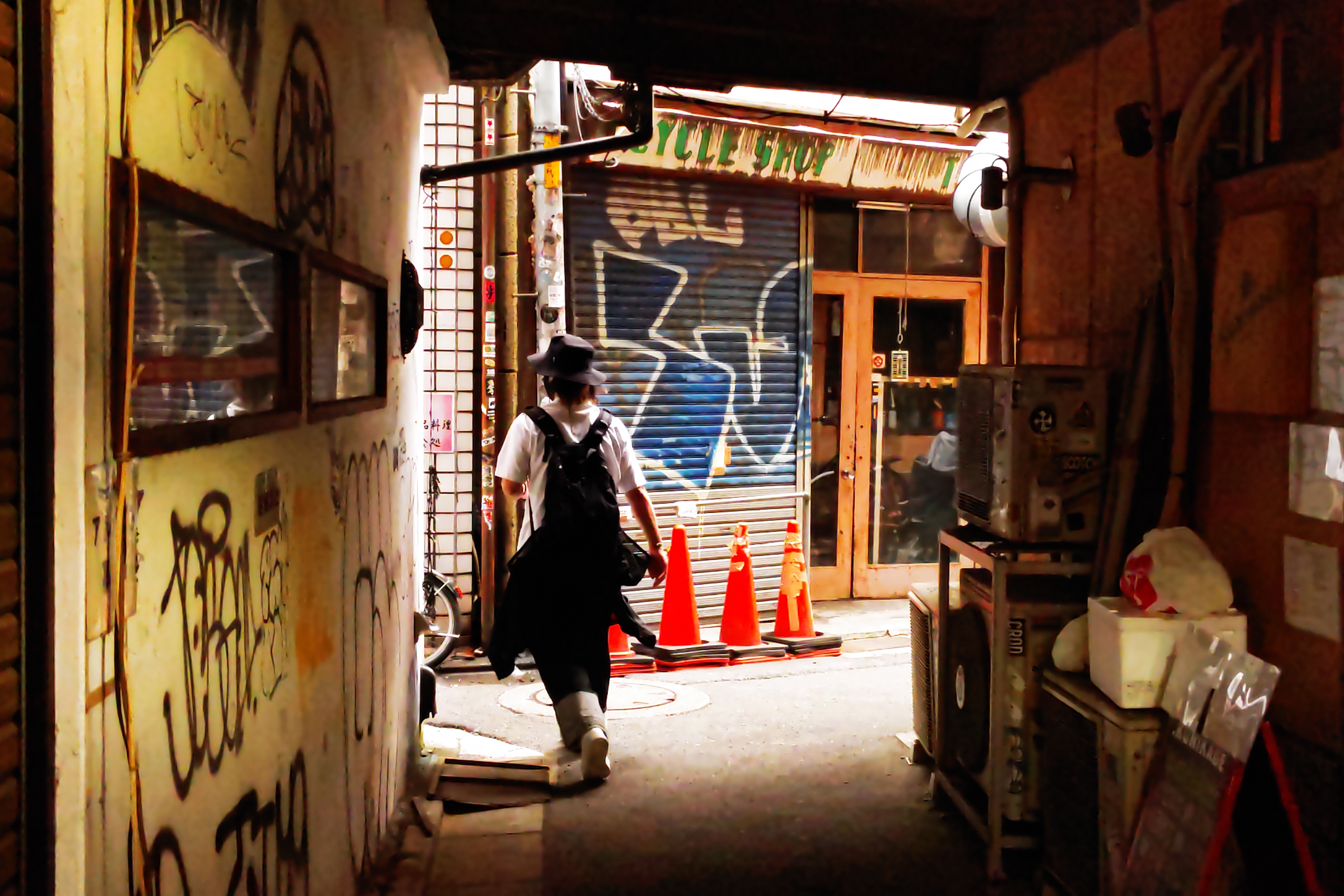 露出時間：1/1000秒、ISO：2250、露出補正：0ステップ、デジタルズーム：2.6倍