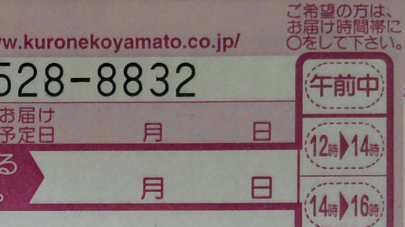 3264×2448ピクセル設定で撮影したもの。左から、リサイズ処理のみ、ドットバイドット画像、リサイズして少しレタッチした画像。クリアですな