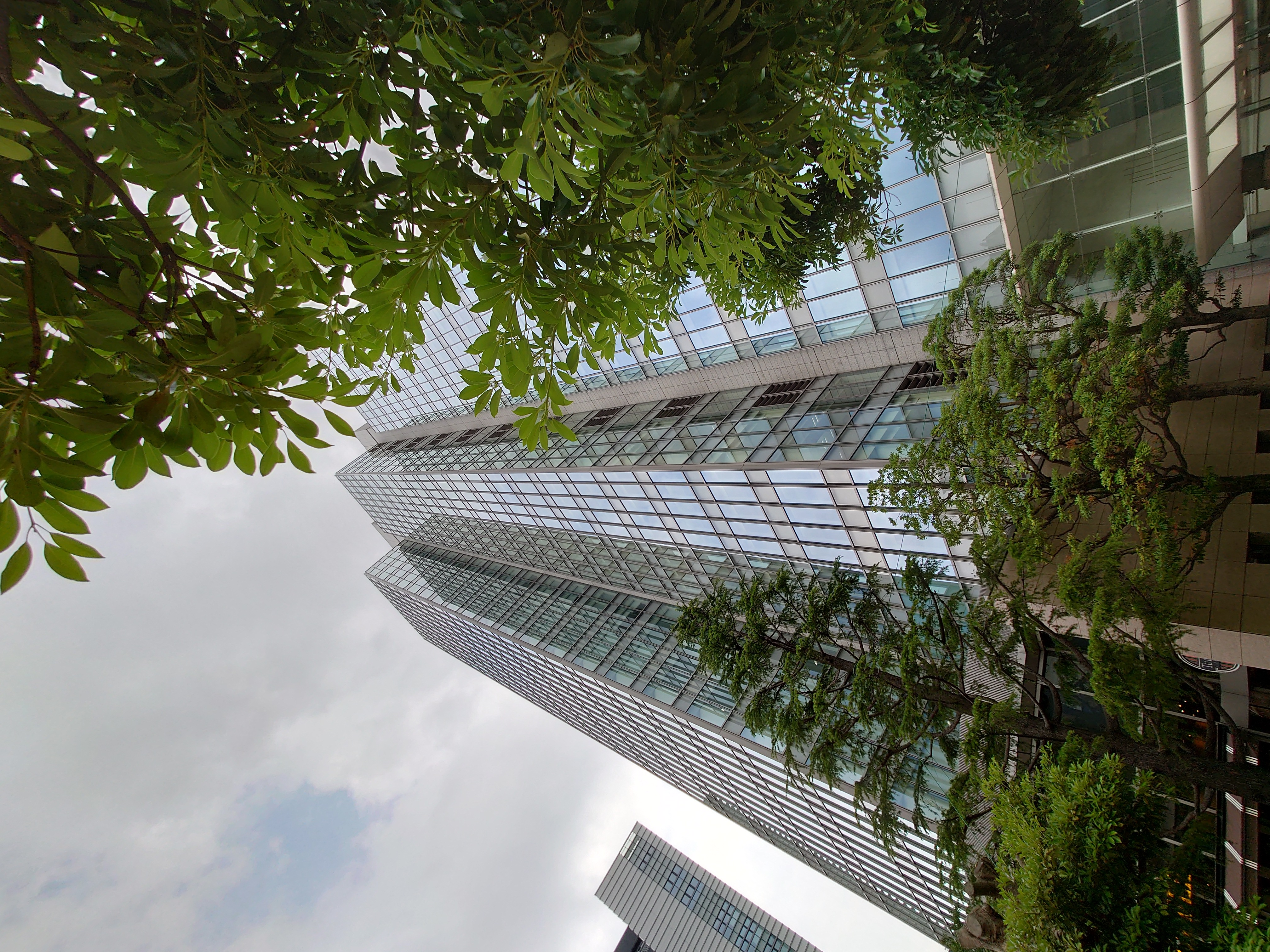 超広角カメラ（0.7倍）で撮影