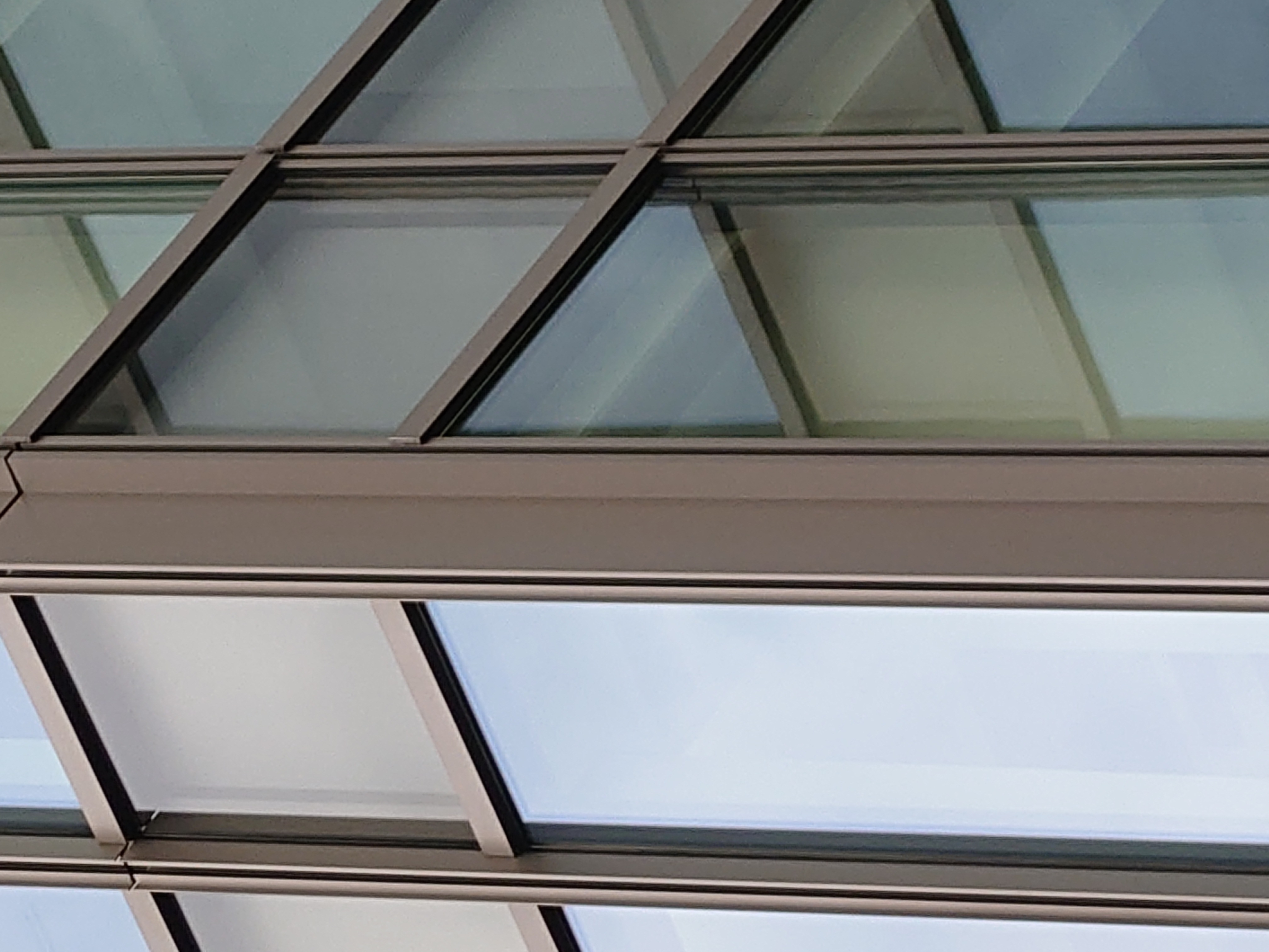 最高倍率（12.5倍）で撮影