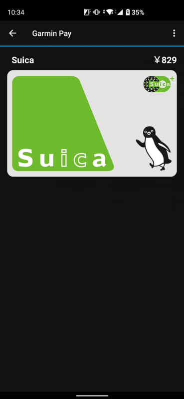 Garmin Pay（モバイルSuica）：829円