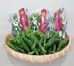 進呈される商品例「万願寺甘とう」