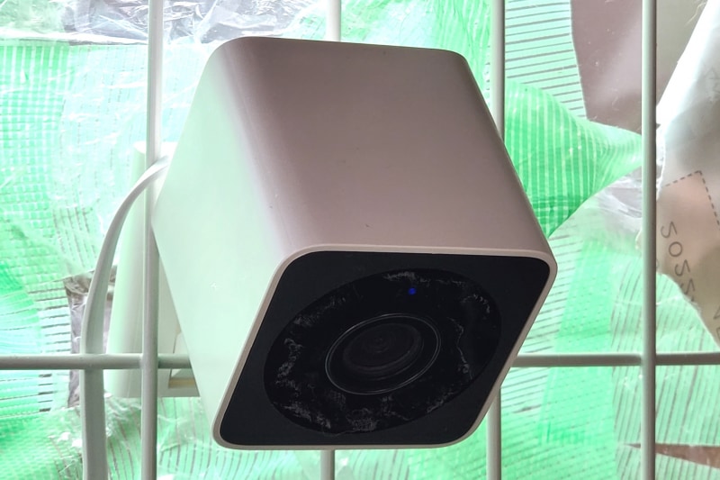 ケージでの運用。背景がマスキングテープだらけなのはATOM Cam 2を支えるためではなく、先住猫と仔猫との接触を防ぐためのもの