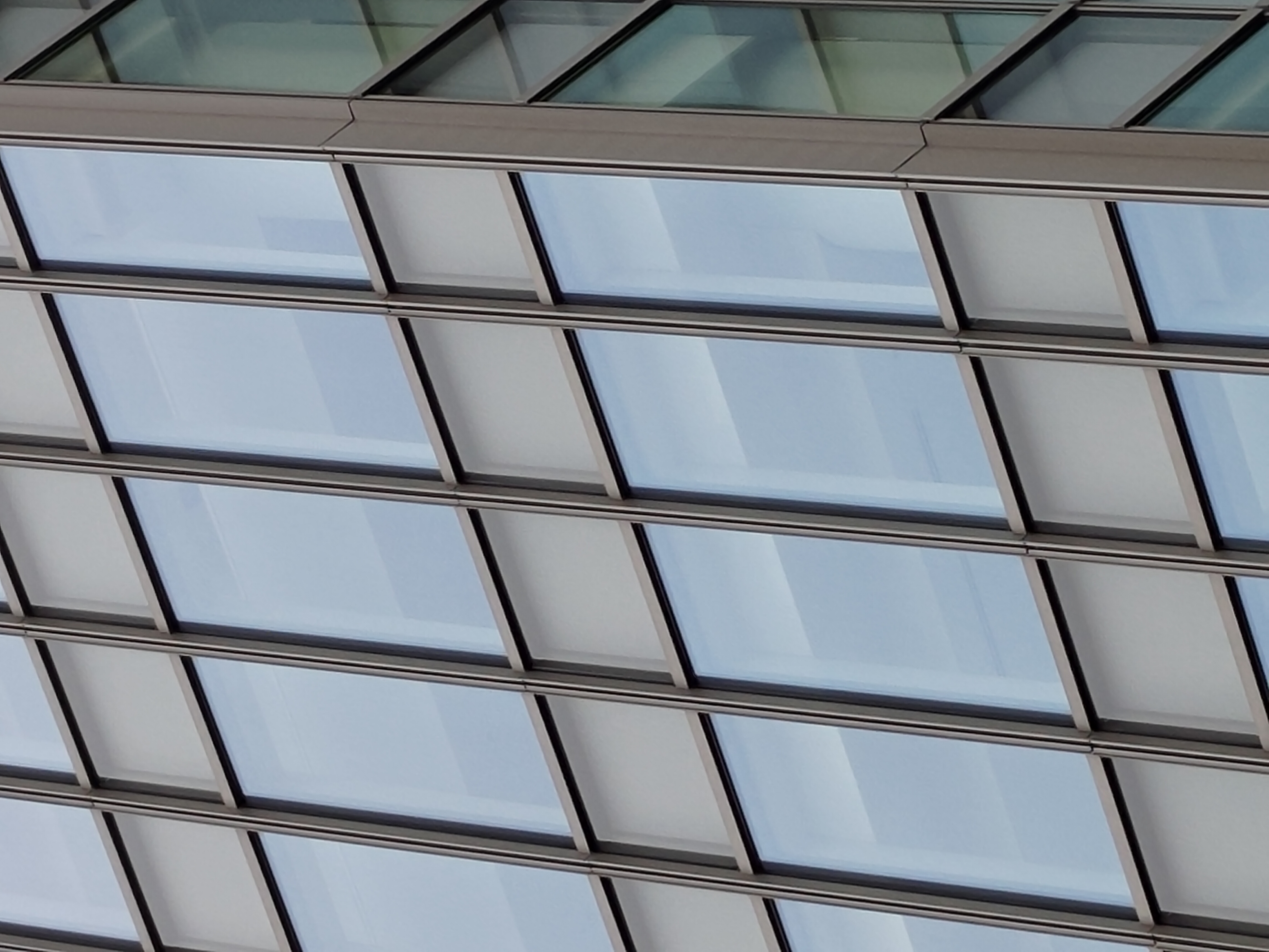 広角カメラで撮影