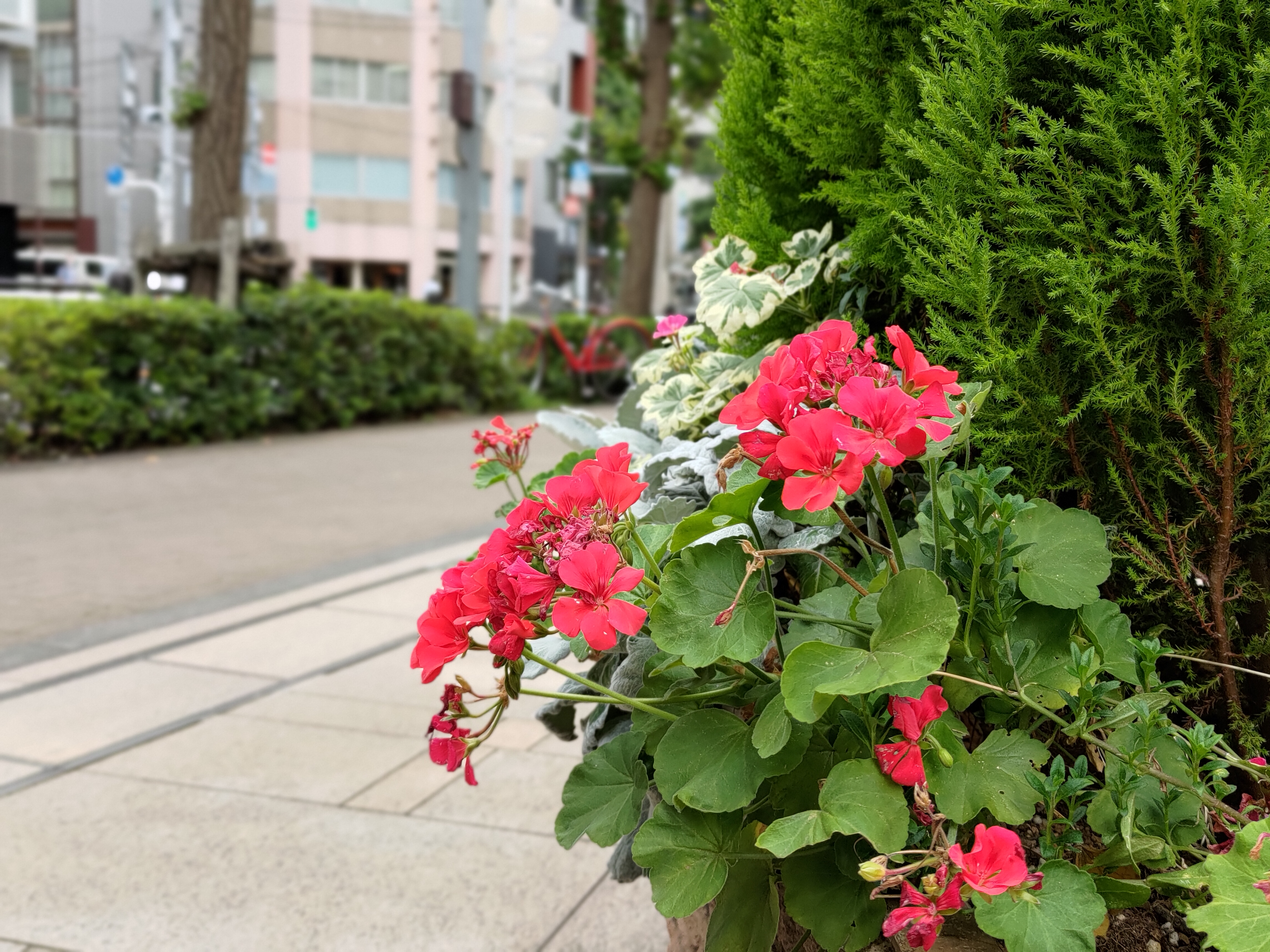 ポートレートモード