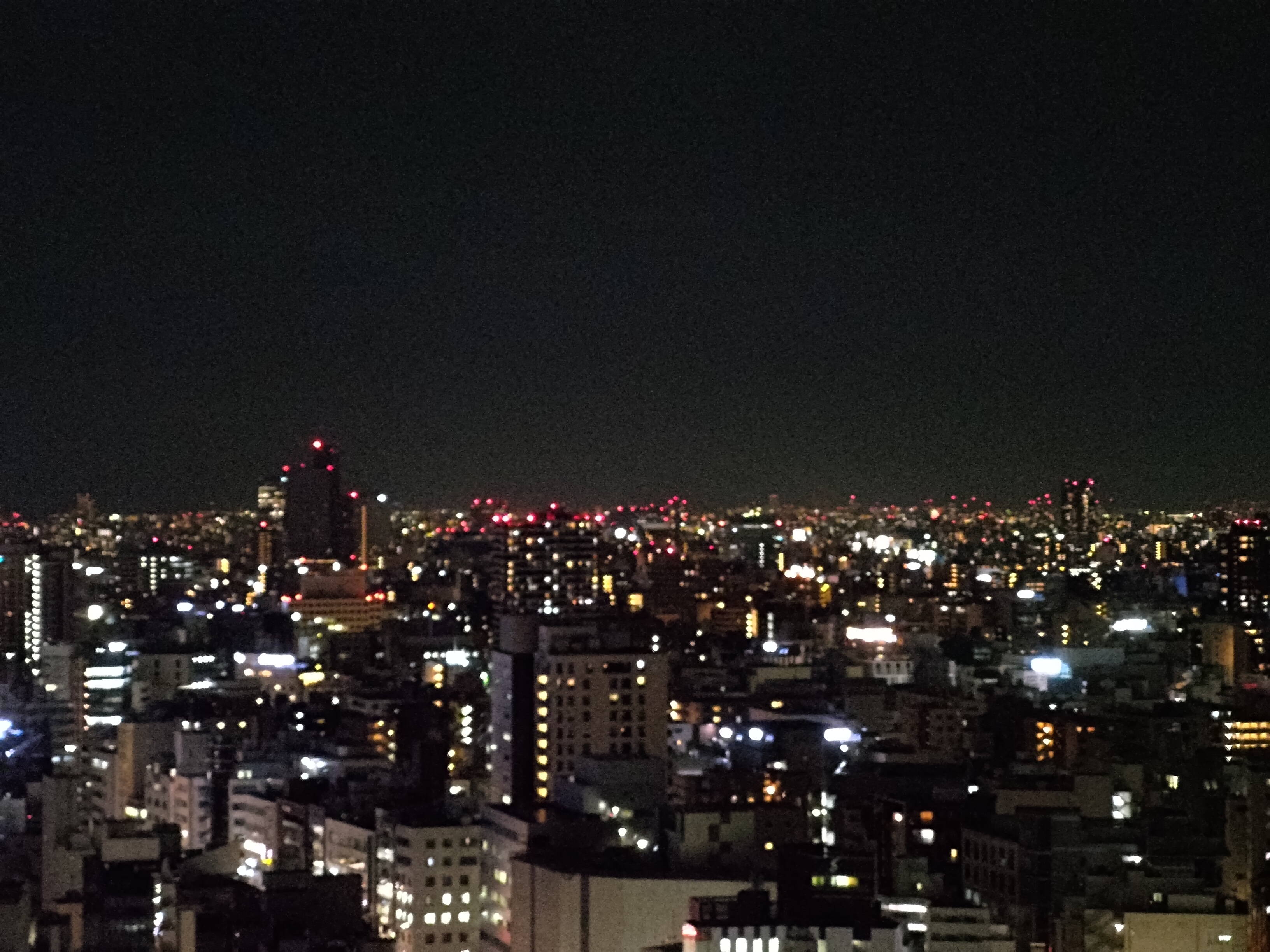 最大倍率まで寄ったもの