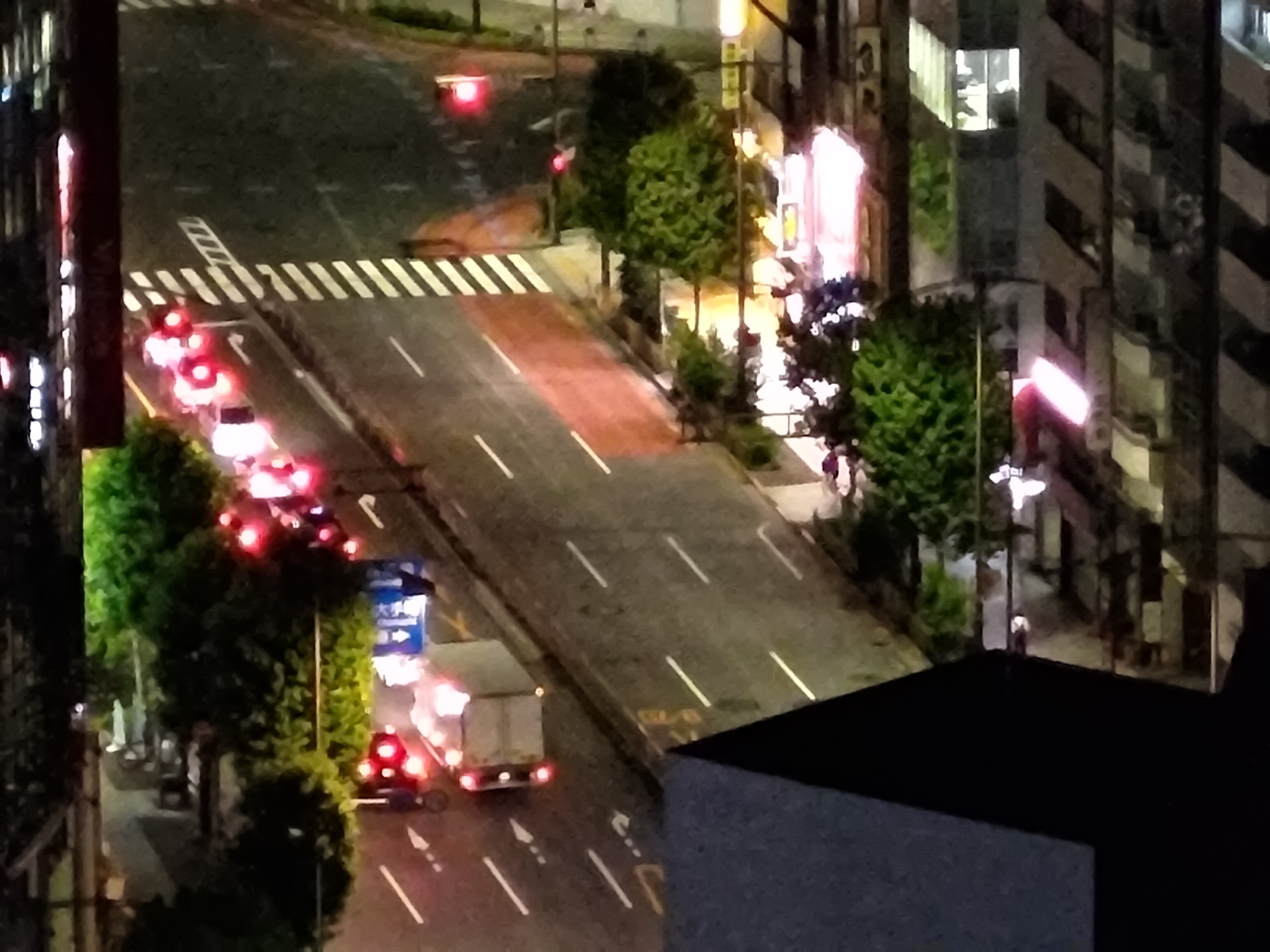 最大倍率まで寄ったもの