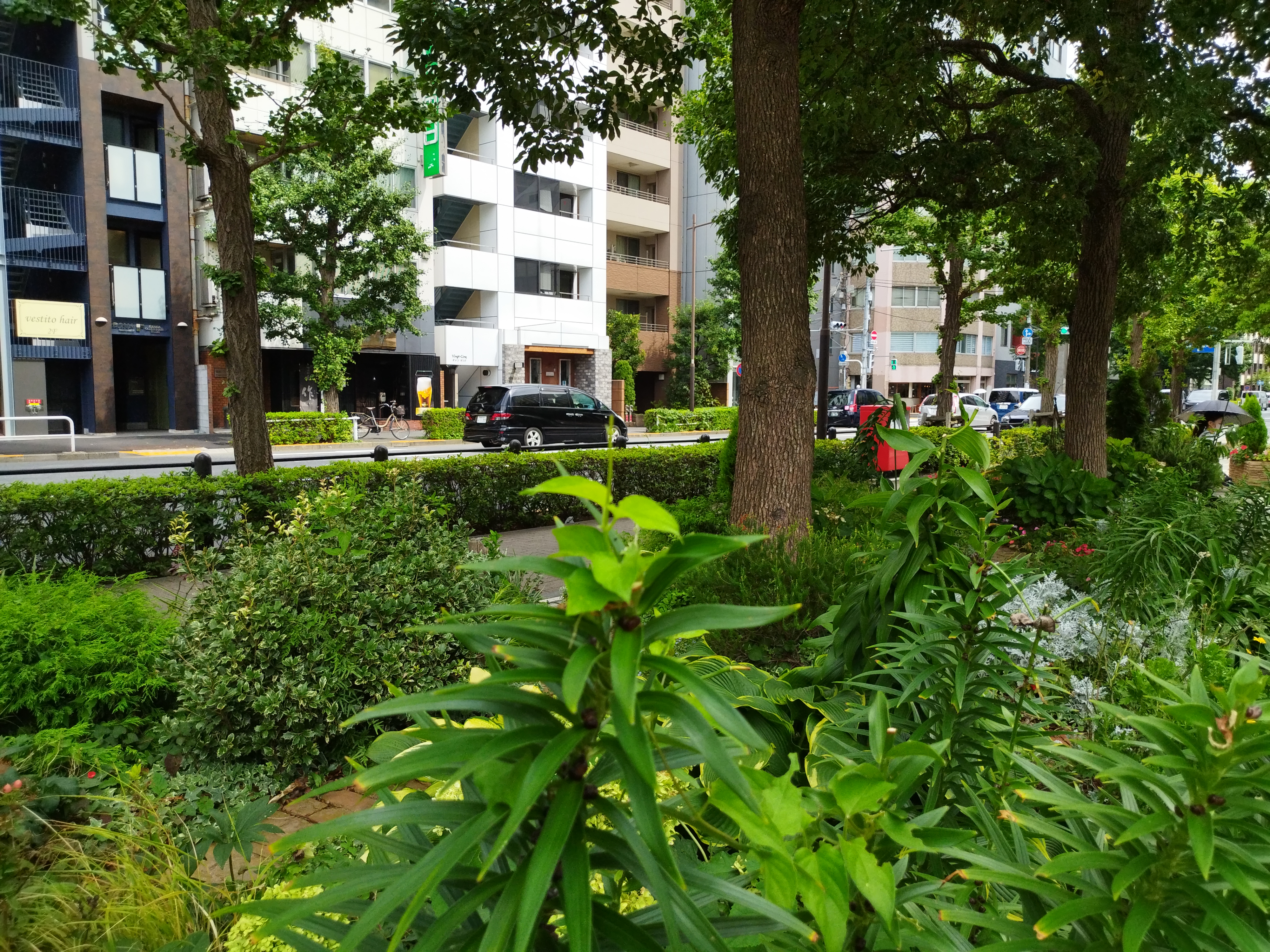 標準モード
