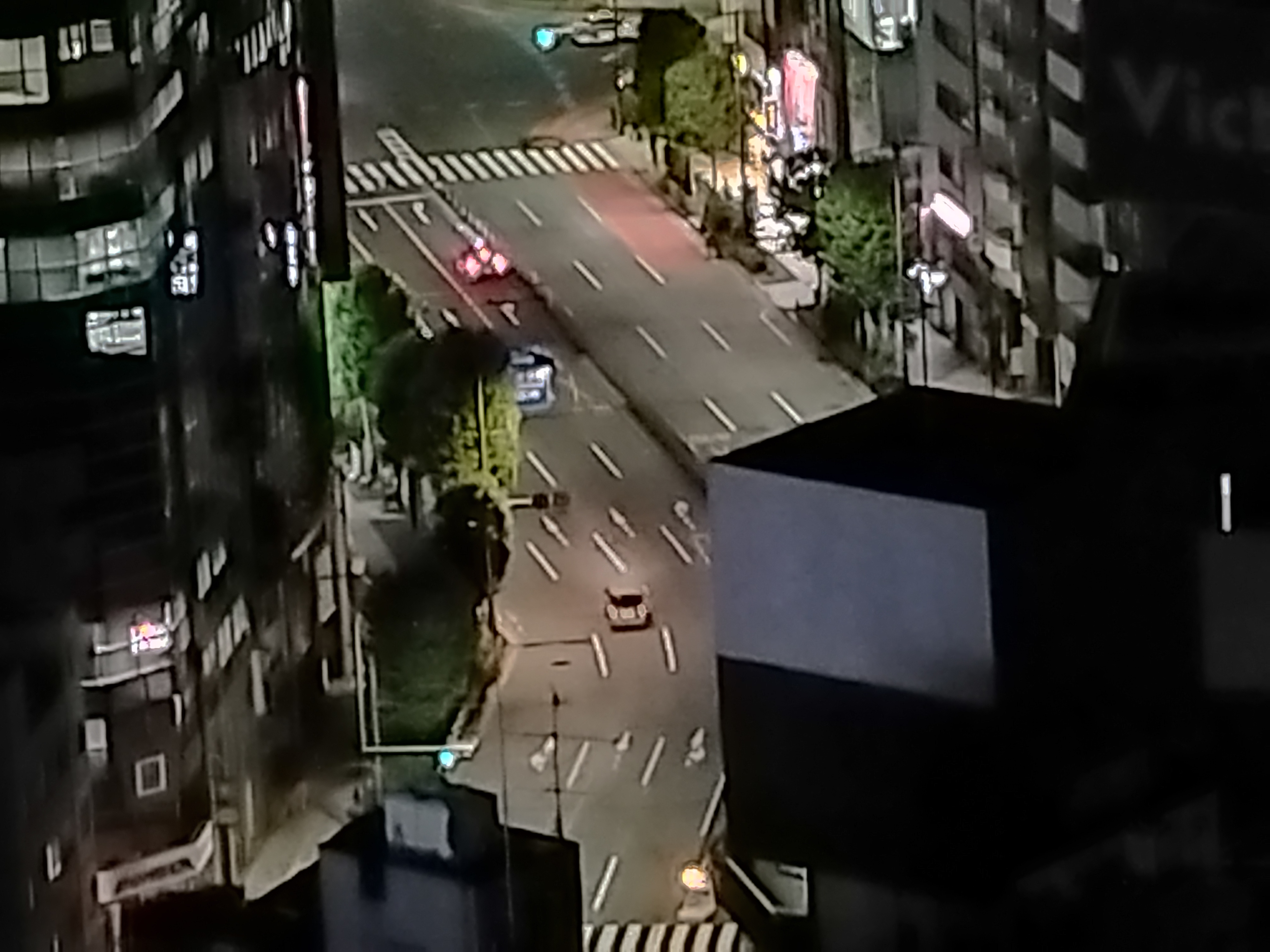 最大倍率まで寄ったもの