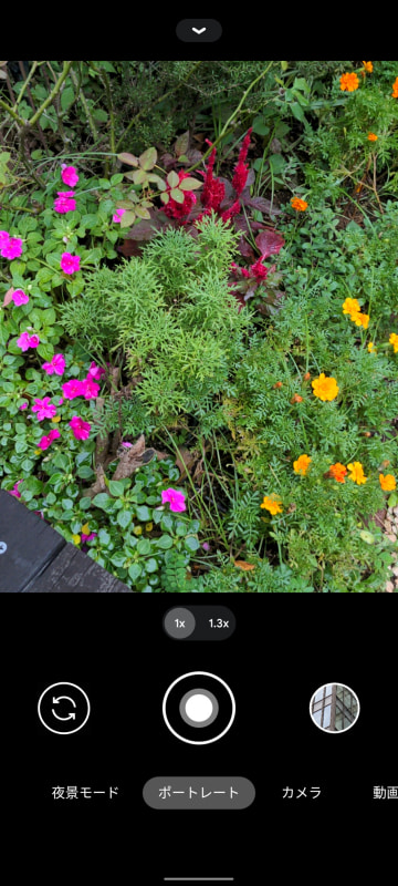 「ポートレート」