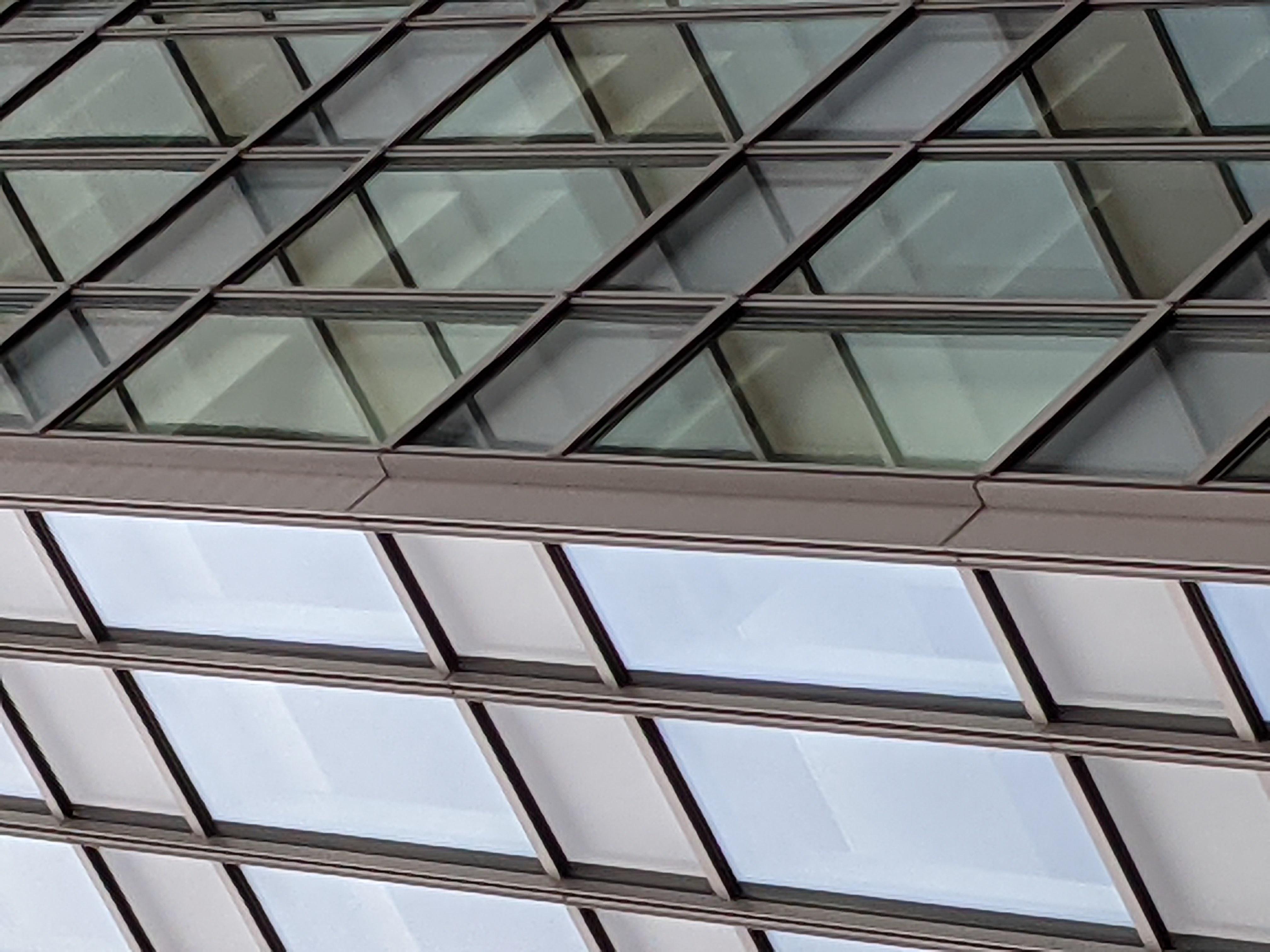 最高倍率（7倍）で撮影