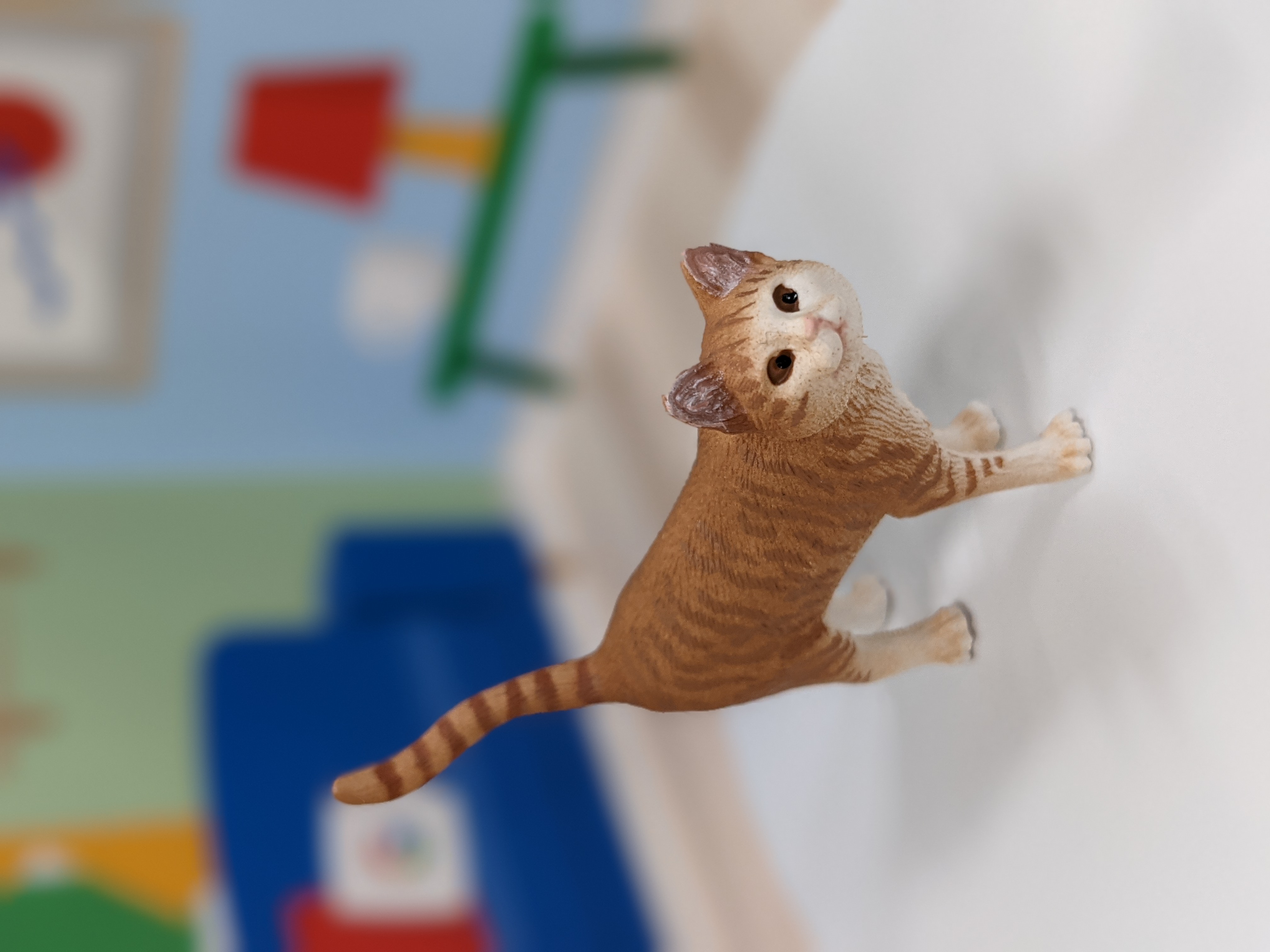 ポートレートモードで撮影。AIが猫の尻尾まで被写体として認識していることがわかる