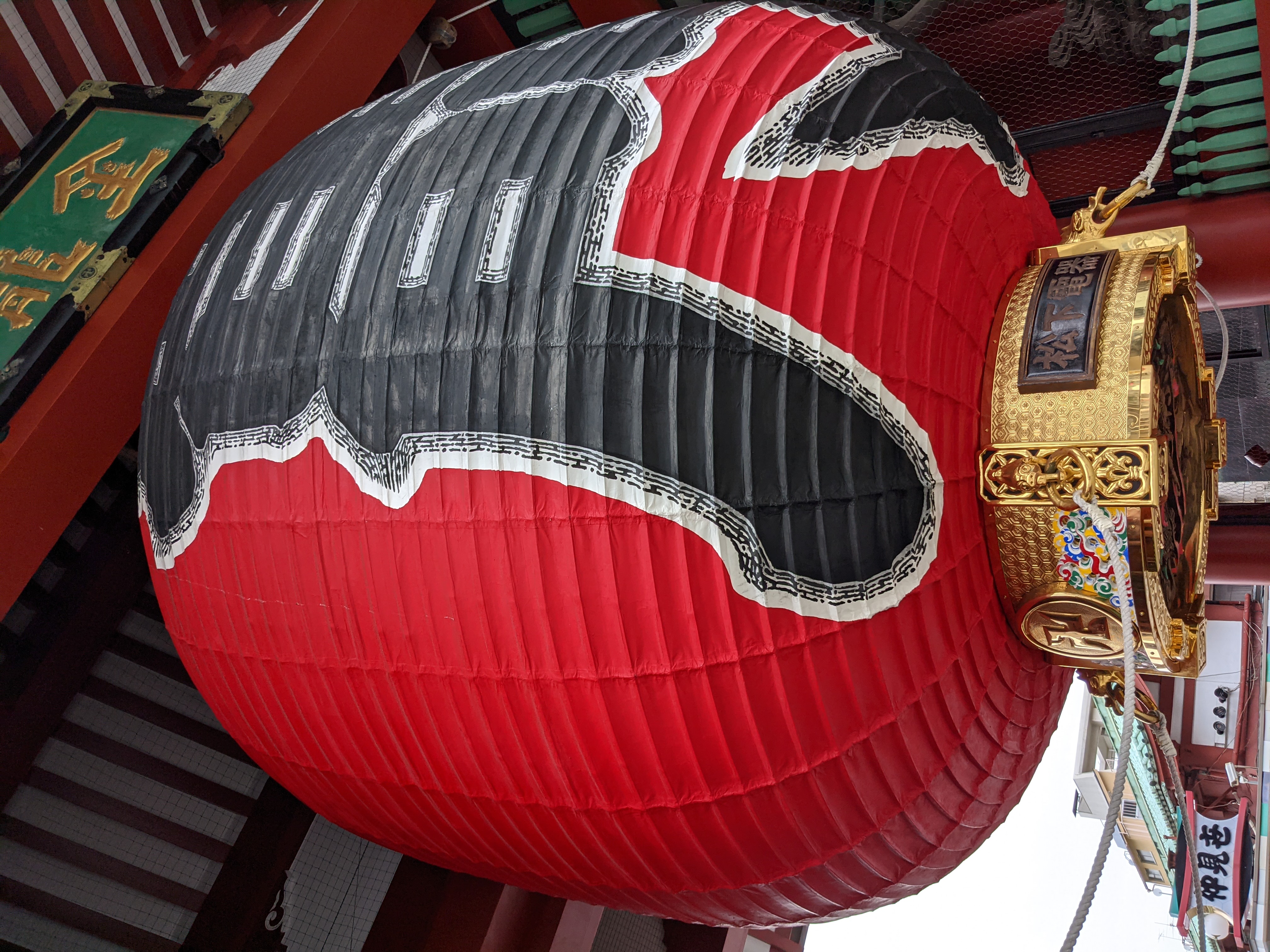 次は広角カメラだ。カメラを起動すると標準で現れる「1x」カメラである。鮮やかな赤の発色と表面のディテールが美しい。立体感も豊かである