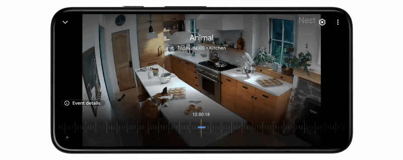 Nest Camが検知したシーン