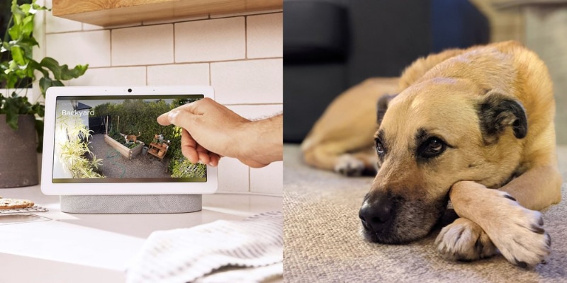 防犯用カメラ（Nest Cam、左）と通常のカメラ（右）で撮影した写真