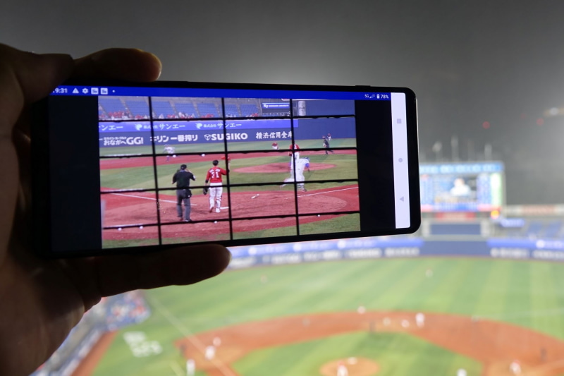 バックネット裏