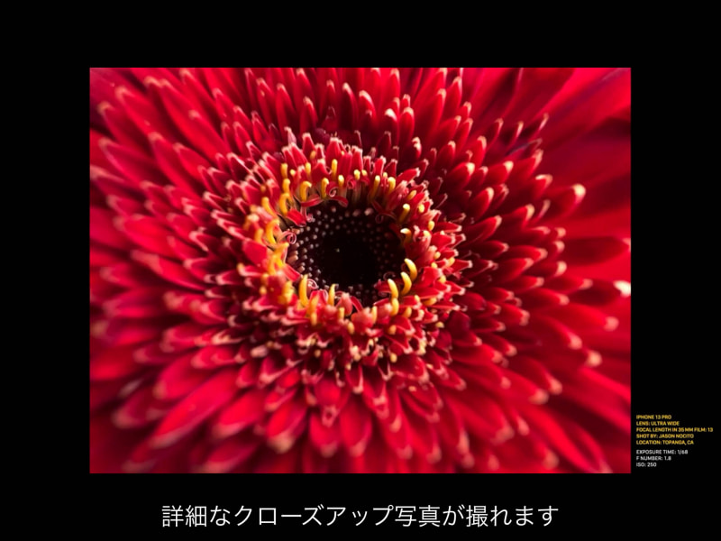 マクロ撮影の作例。F値が小さい（明るい）と立体物は一部にしか焦点が合わないのもマクロ撮影のポイントだ